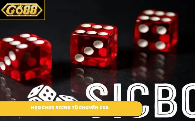Mẹo Chơi Sicbo từ chuyên gia
