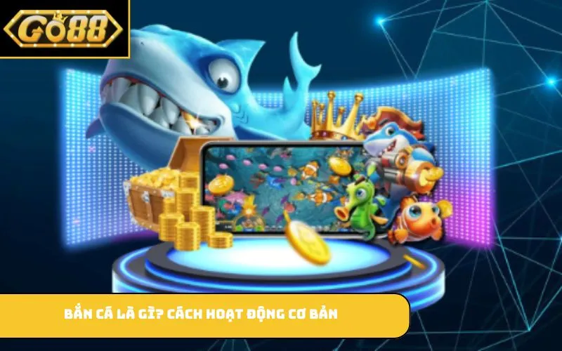 Bắn cá là gì? cách hoạt động cơ bản